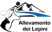 Logo di Allevamento dei Lepini srl Unipersonale